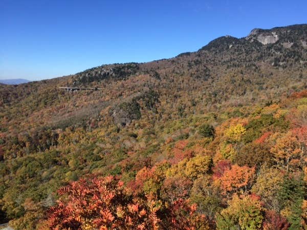 Camper-submitted photo at Grandfather Mountain State Park Campsites near Vilas, NC