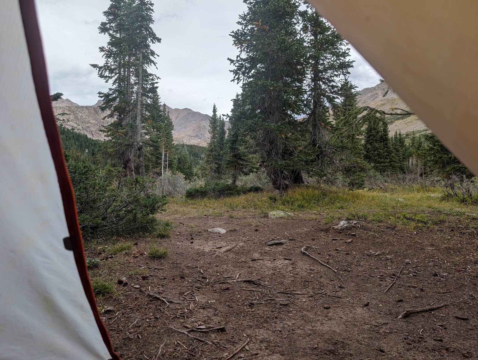 Camper-submitted photo at Horn Fork Basin Dispersed Camping near Buena Vista, CO