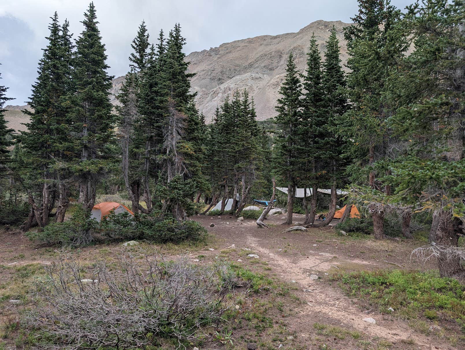 Camper-submitted photo at Horn Fork Basin Dispersed Camping near Buena Vista, CO