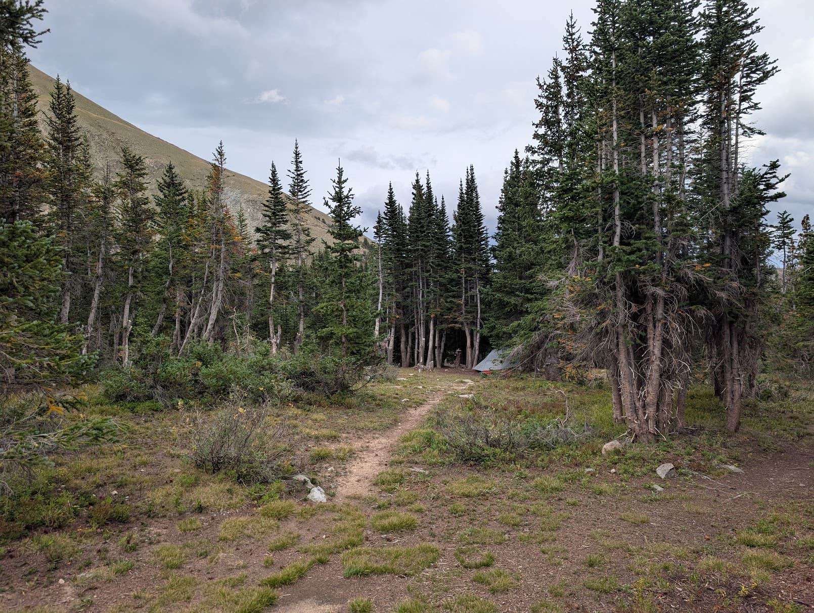 Camper-submitted photo at Horn Fork Basin Dispersed Camping near Buena Vista, CO