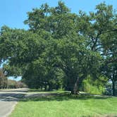 Review photo of Wisner Blvd - Overnight Parking by Stuart K., September 1, 2026