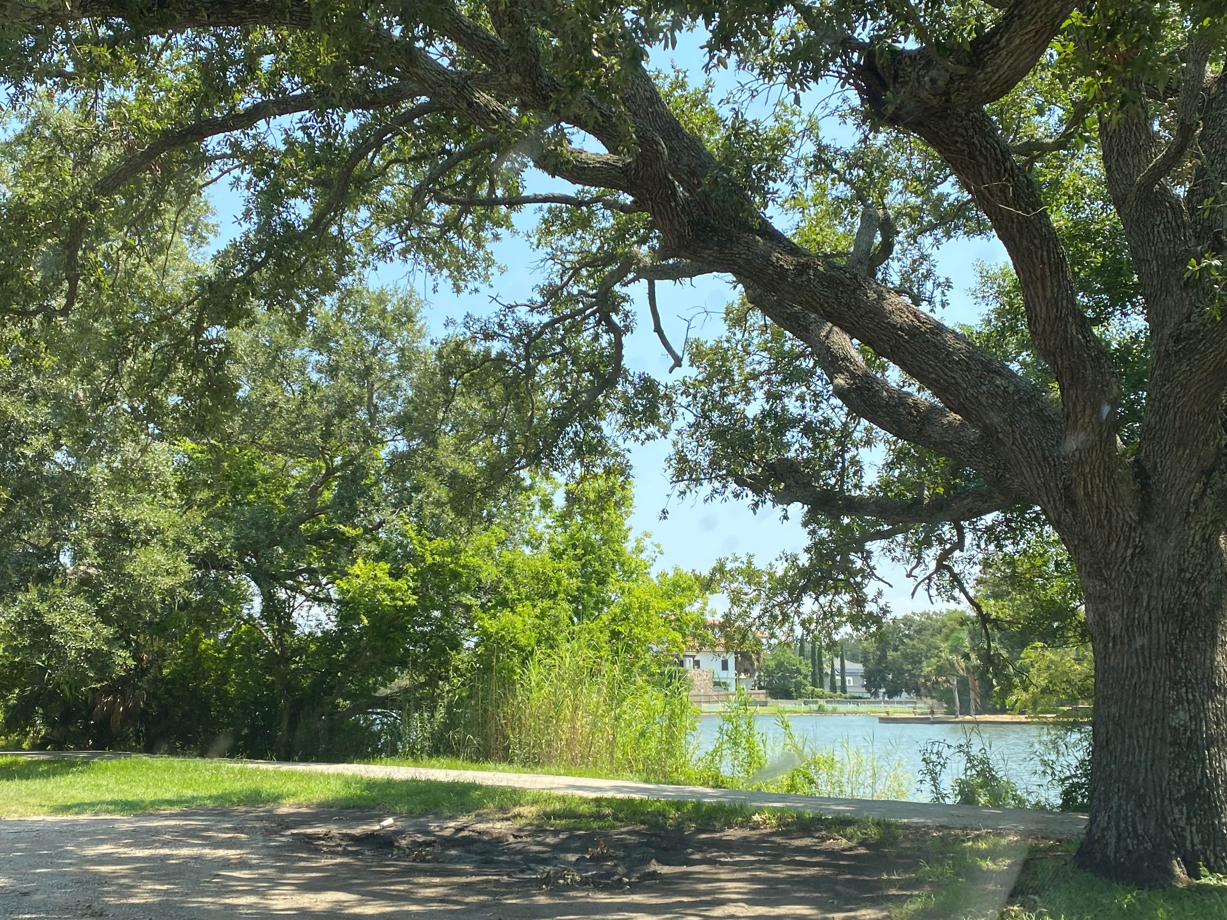 Camper-submitted photo at Wisner Blvd - Overnight Parking near Barataria, LA