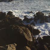 Review photo of Salt Point State Park Campground by Stuart K., September 1, 2026