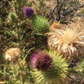 Review photo of Las Trampas Regional Wilderness by Stuart K., September 1, 2026
