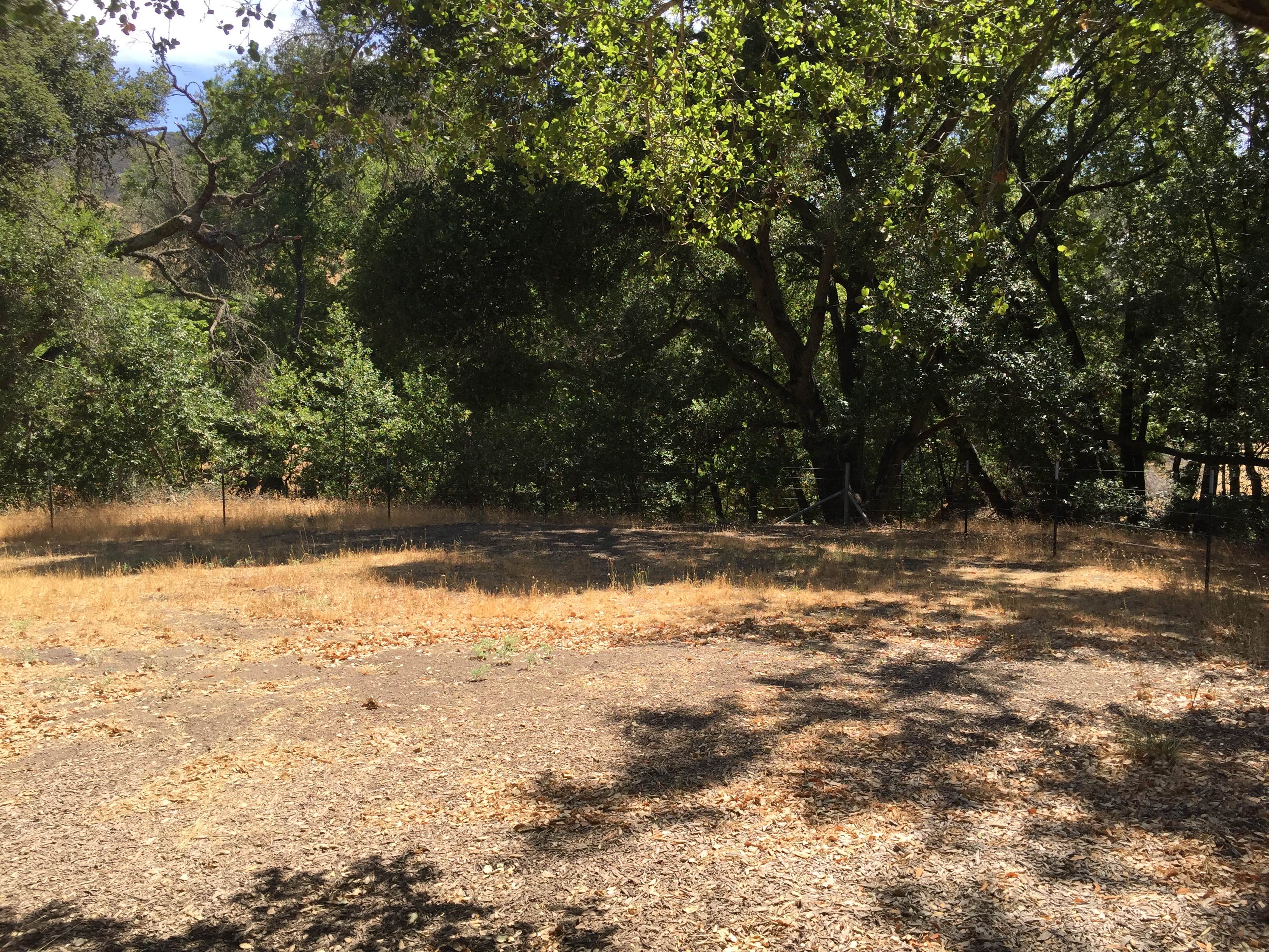 Camper-submitted photo at Las Trampas Regional Wilderness near Alamo, CA