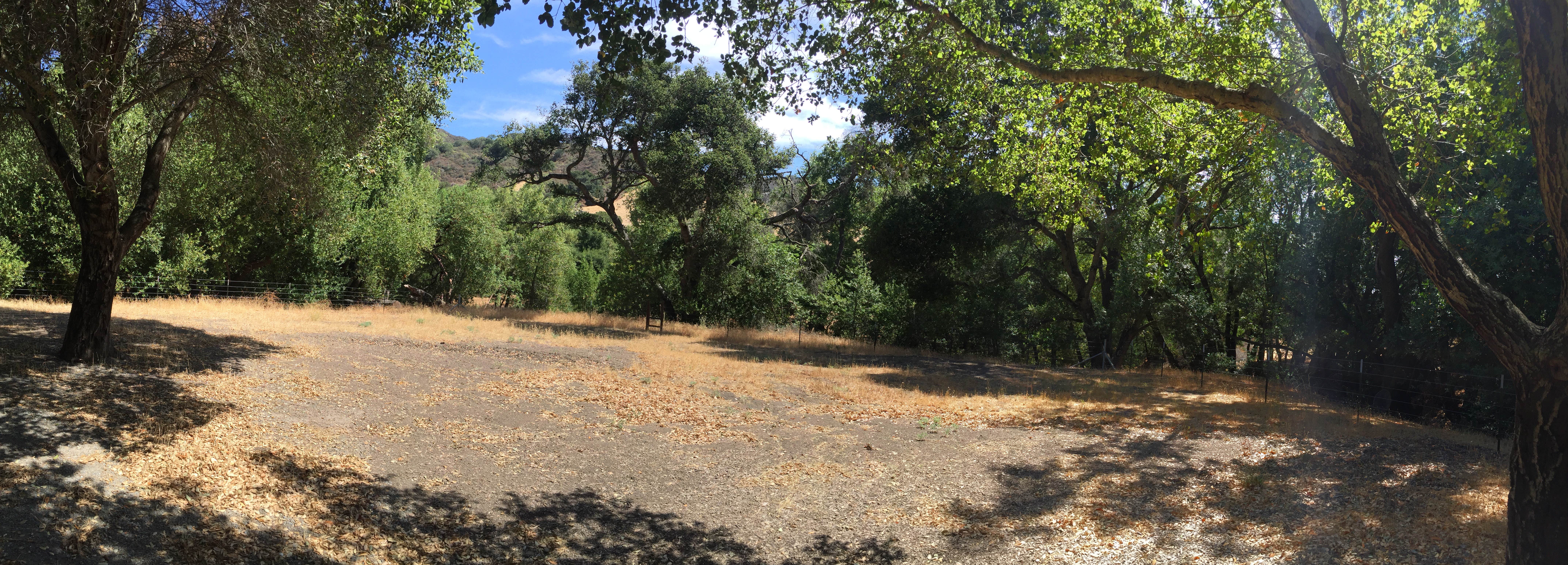 Camper-submitted photo at Las Trampas Regional Wilderness near Alamo, CA