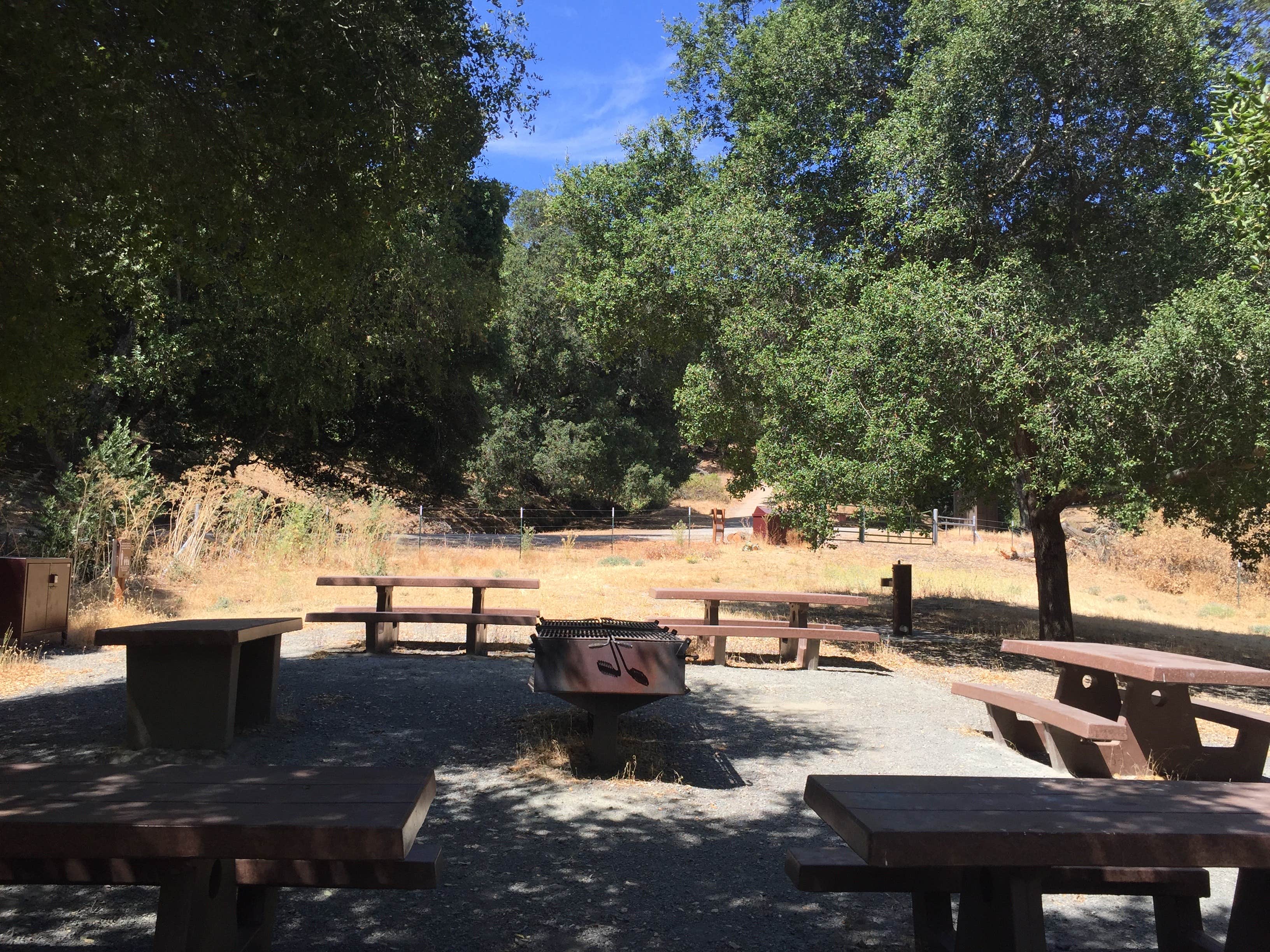 Camper-submitted photo at Las Trampas Regional Wilderness near Alamo, CA