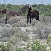 Review photo of Spencer Hot Springs by Robert P., September 2, 2026