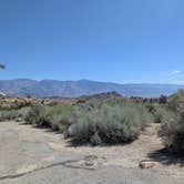 Review photo of Lone Pine by April H., September 3, 2026