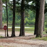 Review photo of Magnolia Lane Campground by Phillip L., September 4, 2026