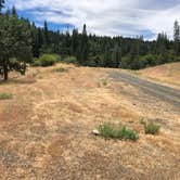 Review photo of Rattlesnake Cr. near Hwy 36, Shasta-Trinity NF by Norman J., September 5, 2026