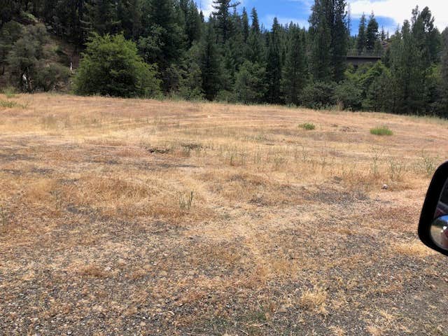 Camper-submitted photo at Rattlesnake Cr. near Hwy 36, Shasta-Trinity NF near Weaverville, CA