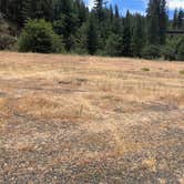 Review photo of Rattlesnake Cr. near Hwy 36, Shasta-Trinity NF by Norman J., September 5, 2026