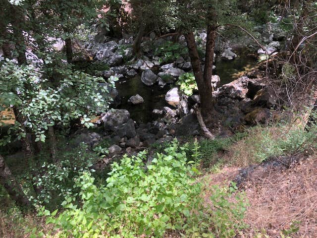 Camper-submitted photo at Rattlesnake Cr. near Hwy 36, Shasta-Trinity NF near Weaverville, CA