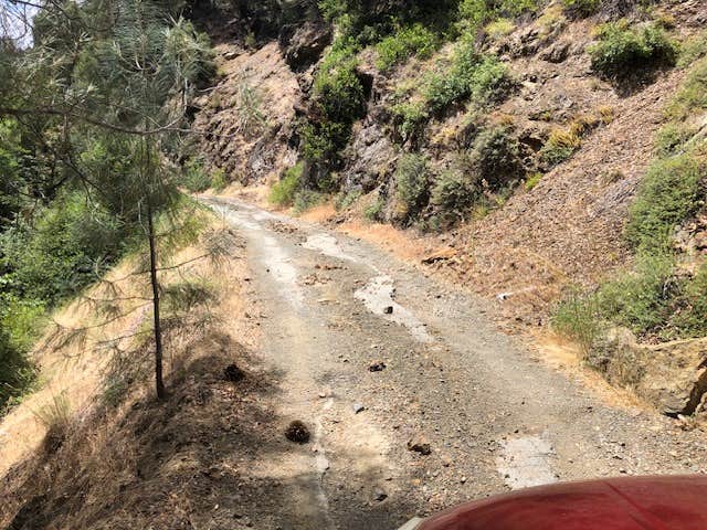 Camper-submitted photo at Rattlesnake Cr. near Hwy 36, Shasta-Trinity NF near Weaverville, CA