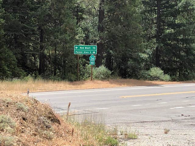 Camper-submitted photo at Rattlesnake Cr. near Hwy 36, Shasta-Trinity NF near Weaverville, CA