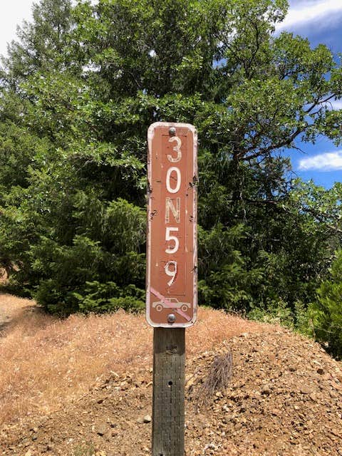 Camper-submitted photo at Rattlesnake Cr. near Hwy 36, Shasta-Trinity NF near Weaverville, CA