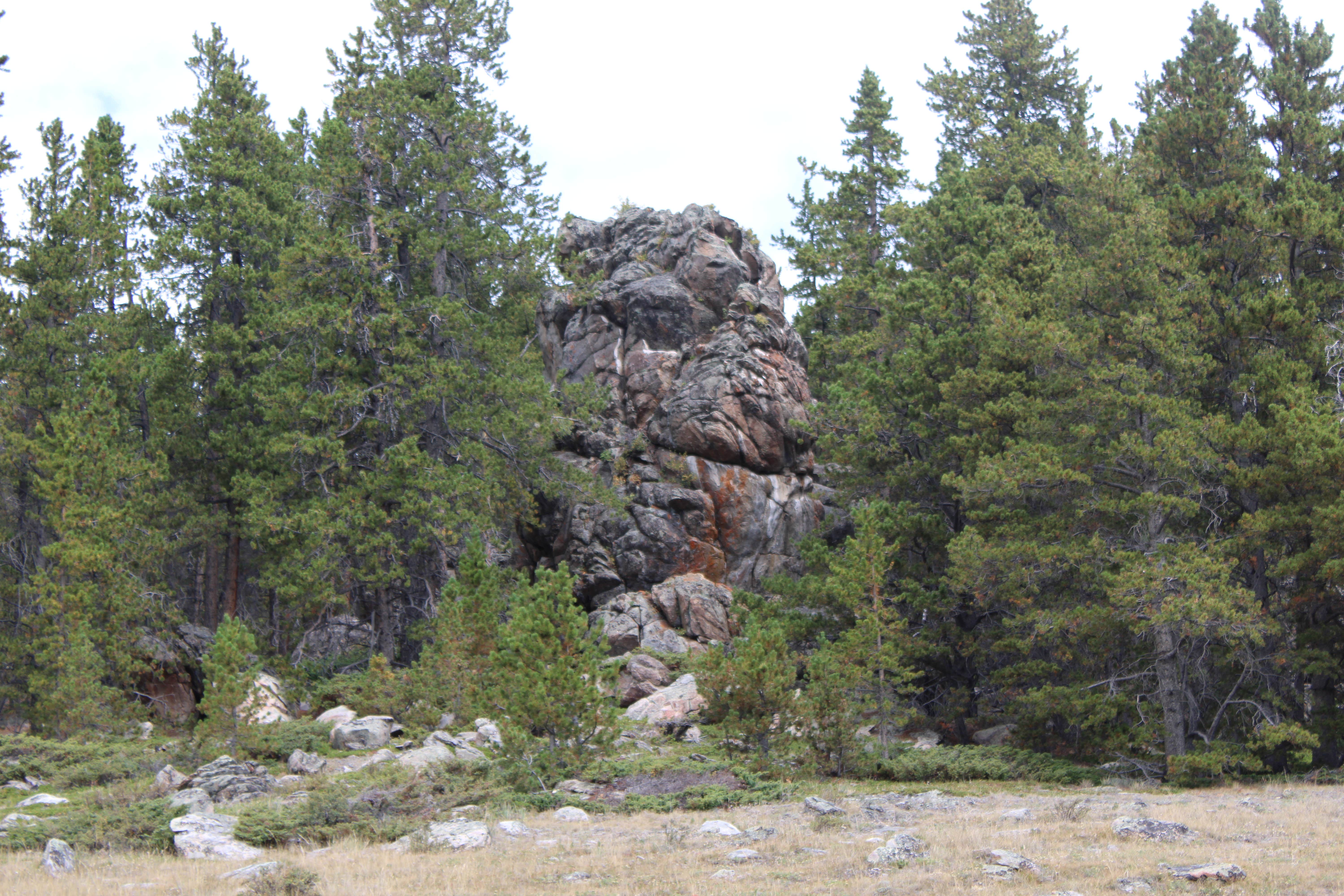 Camper-submitted photo at Dispersed Camping Circle Park Road near Ten Sleep, WY
