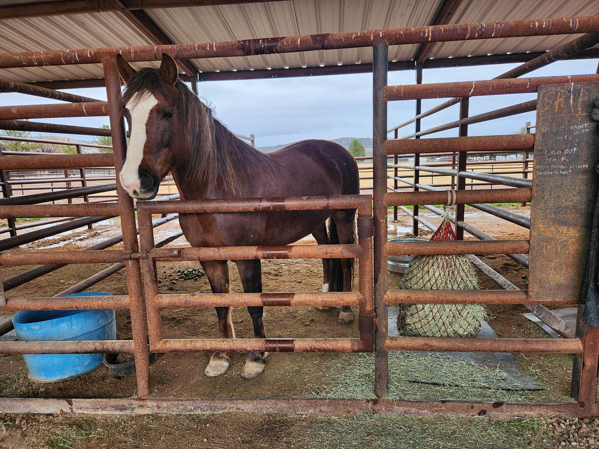 Camper-submitted photo at Nashwa Farms Camping with Horses * Sedona * Camp Verde Arizona near Cottonwood, AZ