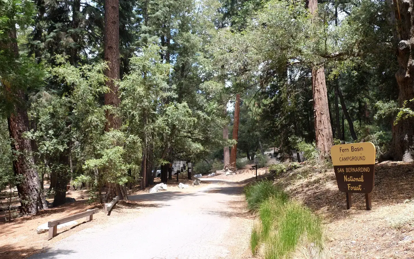 Fern Basin Campground