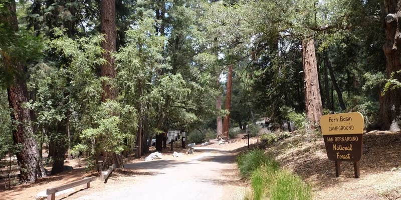 Camper submitted image from Fern Basin Campground