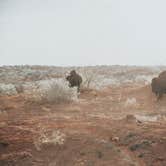 Review photo of Honey Flat Camping Area — Caprock Canyons State Park by Elise A., September 6, 2026