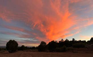 Morgan D.'s photo of a dispersed camping area at Durfield BLM Boondocking near Aztec, NM