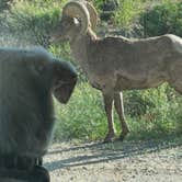 Review photo of Hecla Junction Campground — Arkansas Headwaters Recreation Area by Cobalt B., September 6, 2026