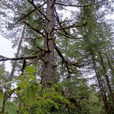 Review photo of Derrick Road Dispersed Camping Area by Tianna B., September 8, 2026