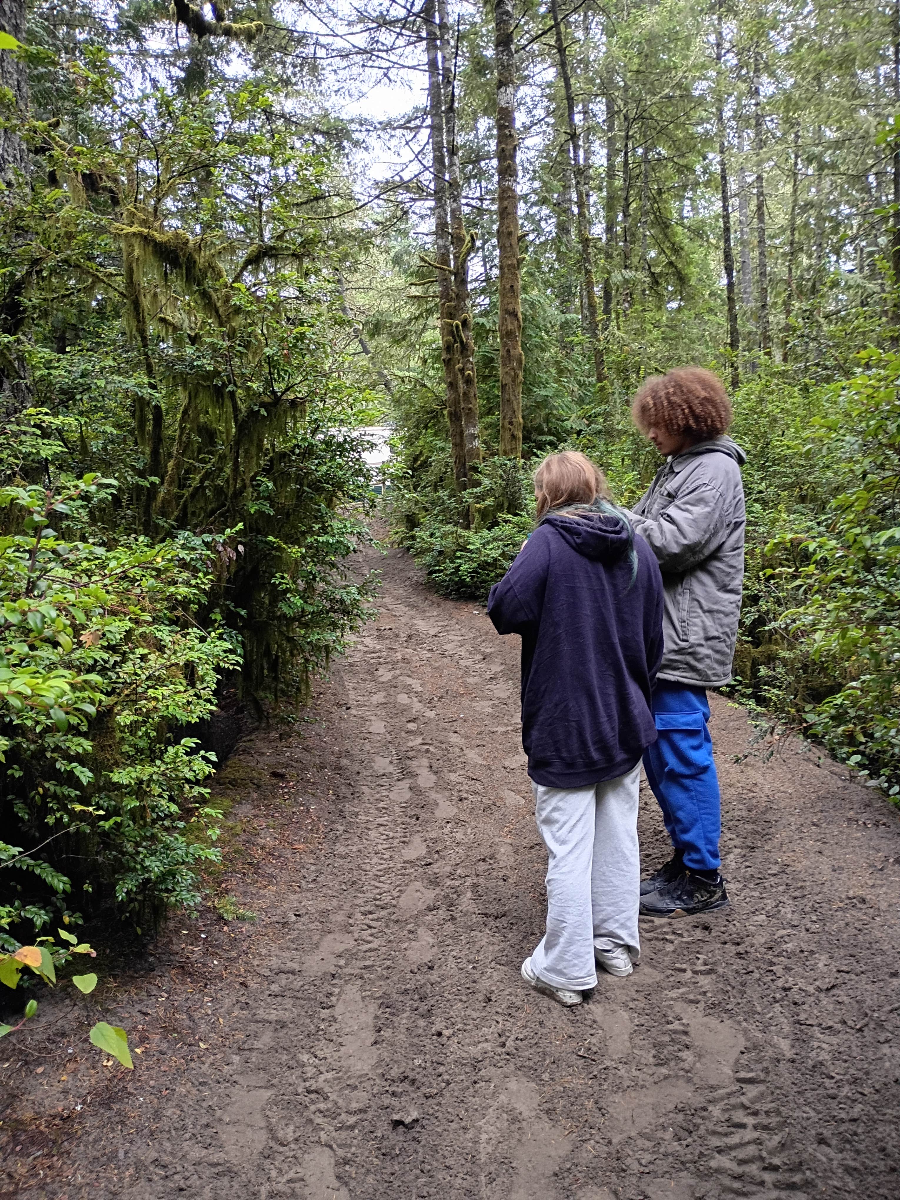 Camping near Cape Lookout State Park Campground: Derrick Road Dispersed Camping Area, Beaver, Oregon