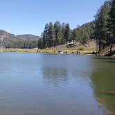 Review photo of Fenton Lake State Park — Fenton Lake Fishing Area (and Dam) by Lupe Y., June 12, 2016