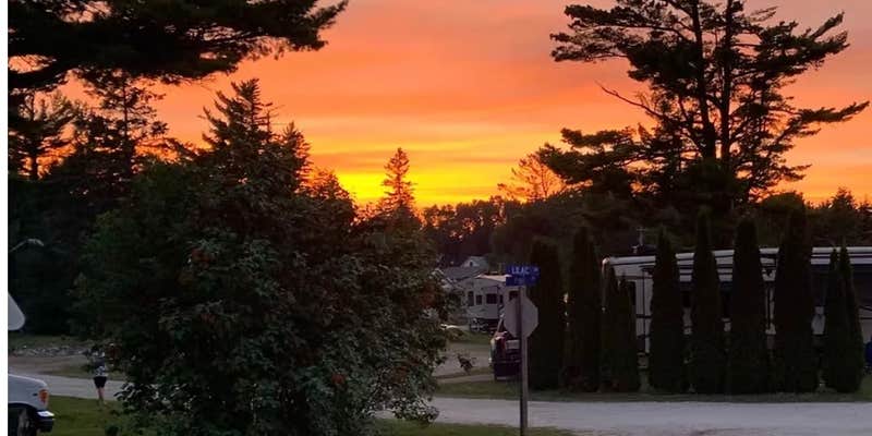 Camper submitted image from Tiki RV Park & Yurts