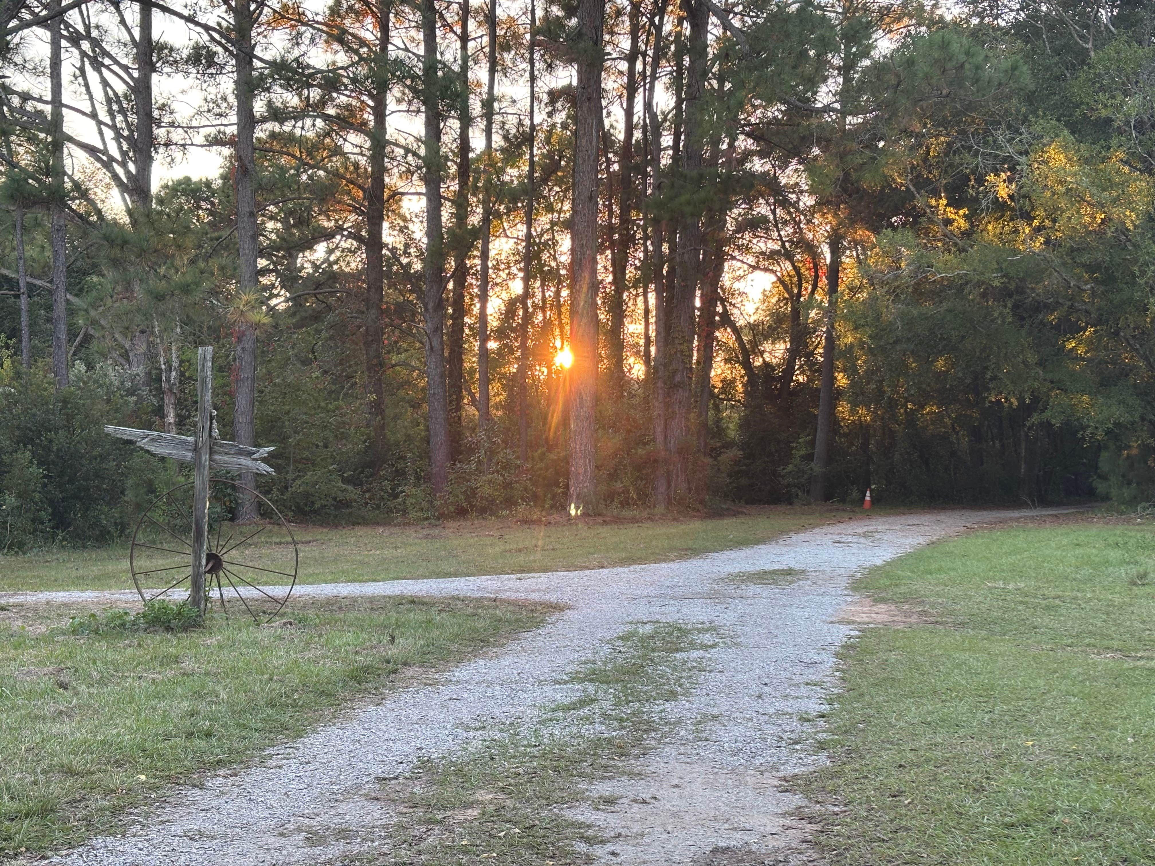 Camper-submitted photo at The Hidden Gem near Folly Beach, SC