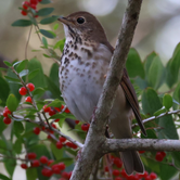 Review photo of Topsail Hill Preserve State Park Campground by Jeremy H., September 10, 2026
