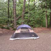 Review photo of Dry River Campground — Crawford Notch State Park by Rachel W., September 11, 2026