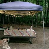 Review photo of Dry River Campground — Crawford Notch State Park by Rachel W., September 11, 2026