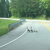 Review photo of Oak Mountain State Park Campground by Jeremy H., September 11, 2026