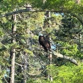 Review photo of Upper Gresham Lake Campground — Northern Highland - American Legion State Forest by Melissa D., September 11, 2026