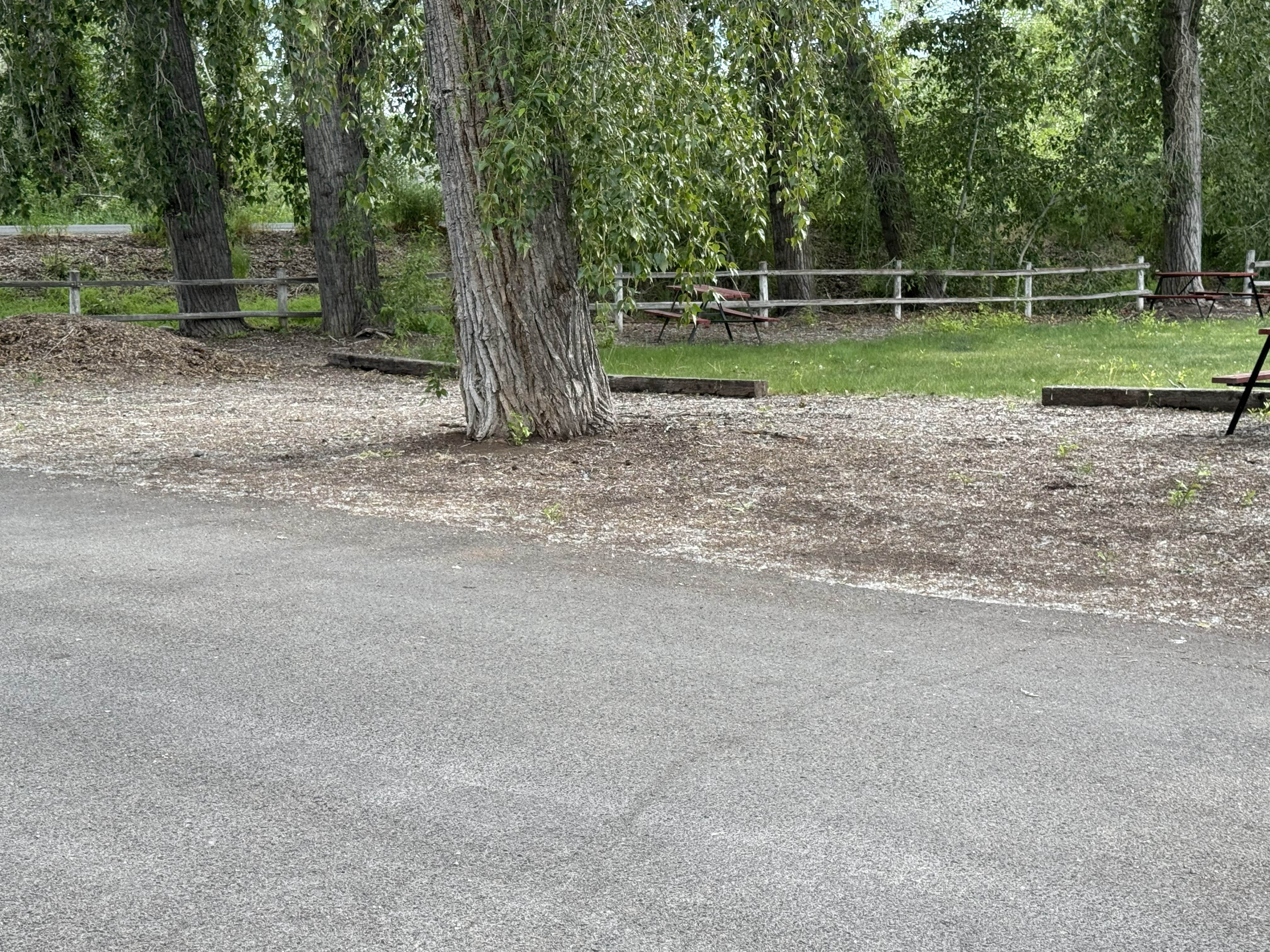 Camper-submitted photo at Riverside RV Park near Atlanta, ID
