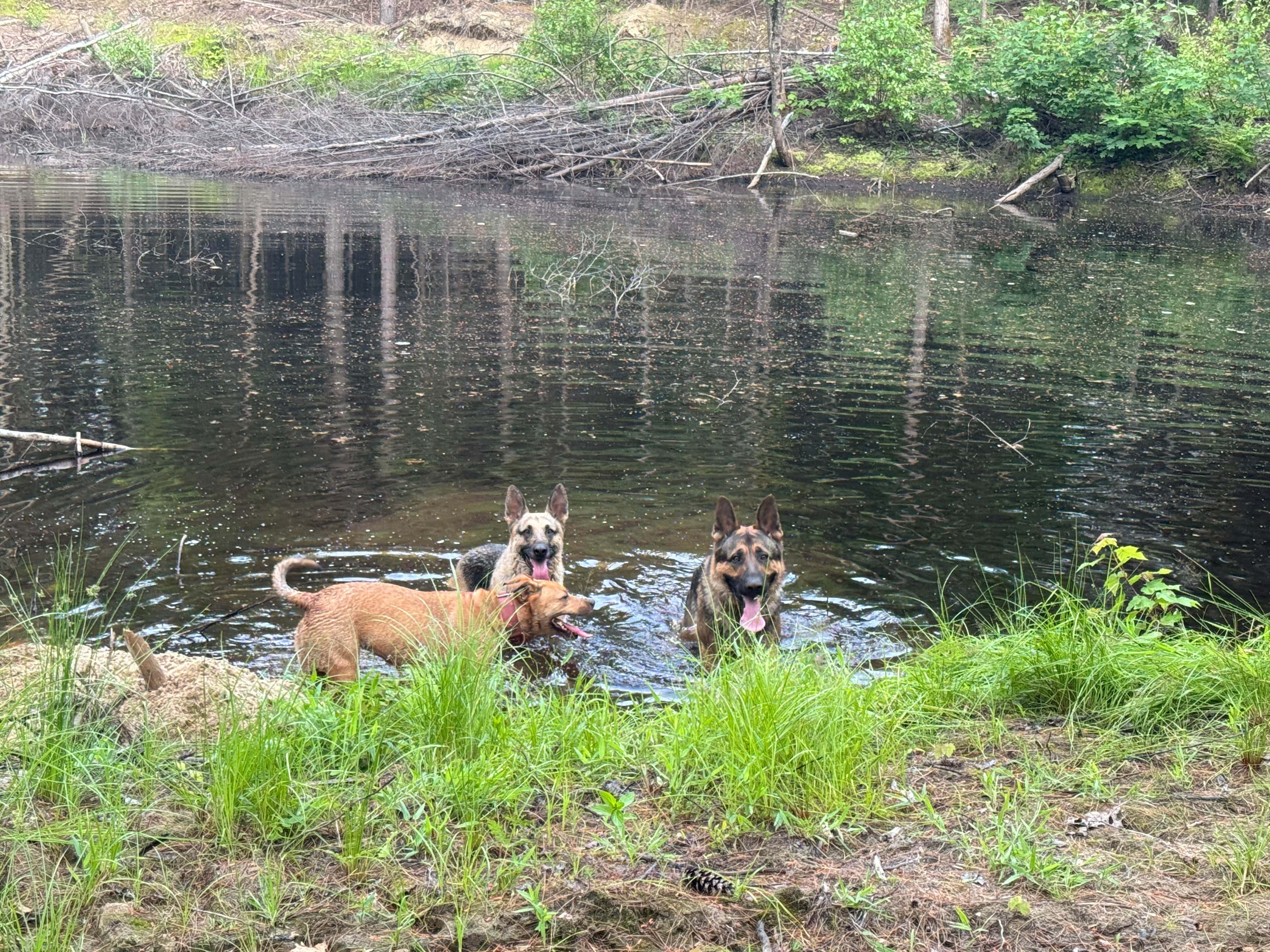 Camping near Augusta West Kampground: The Kut Away, Fayette, Maine