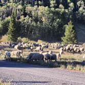 Review photo of Bear Lake Campground by David K., September 13, 2026