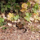 Review photo of Bullards Beach State Park Campground by Stephen W., September 14, 2026