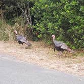 Review photo of Bullards Beach State Park Campground by Stephen W., September 14, 2026