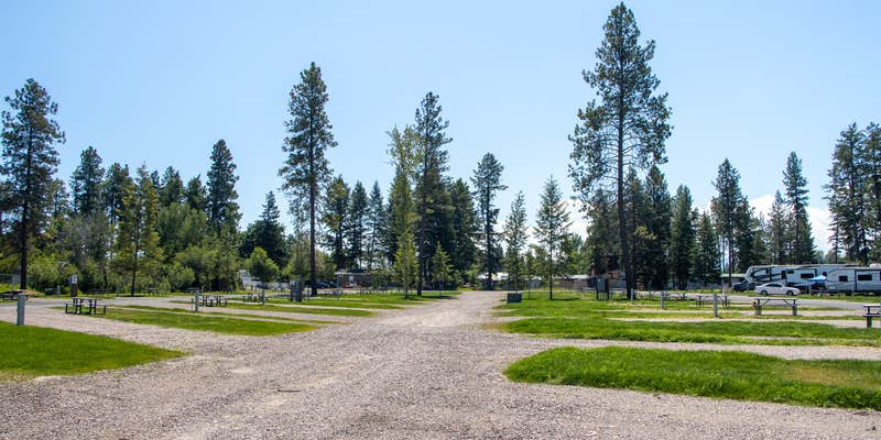 Camper submitted image from Wild Rose RV Park