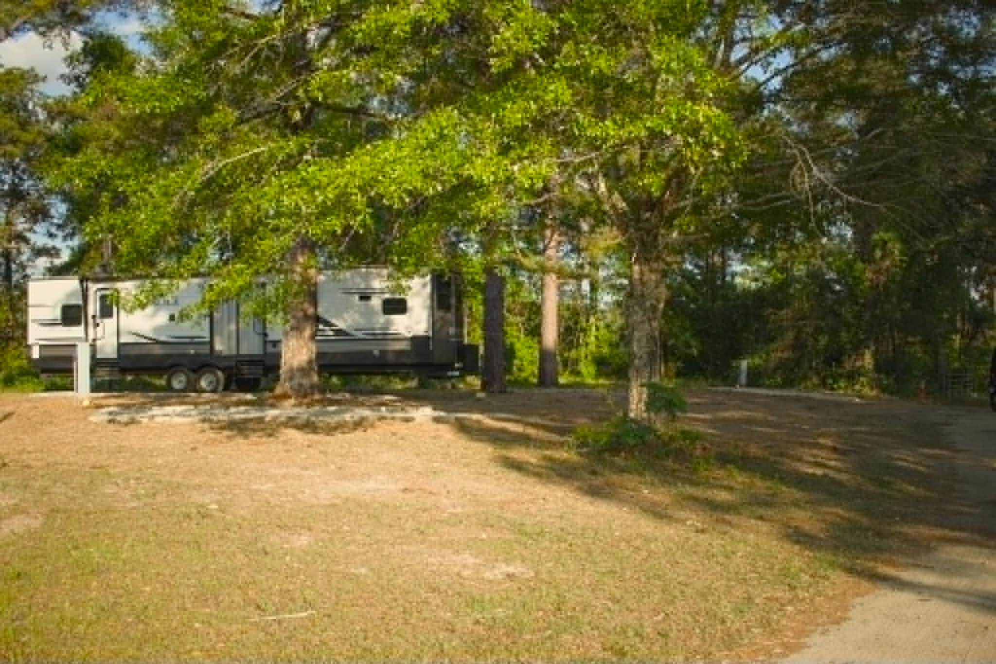 Camping near Chewacla State Park Campground: Cozy Forest Corner, Tuskegee, Alabama