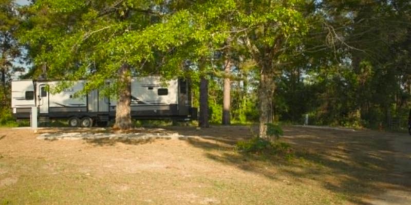 Camper submitted image from Cozy Forest Corner