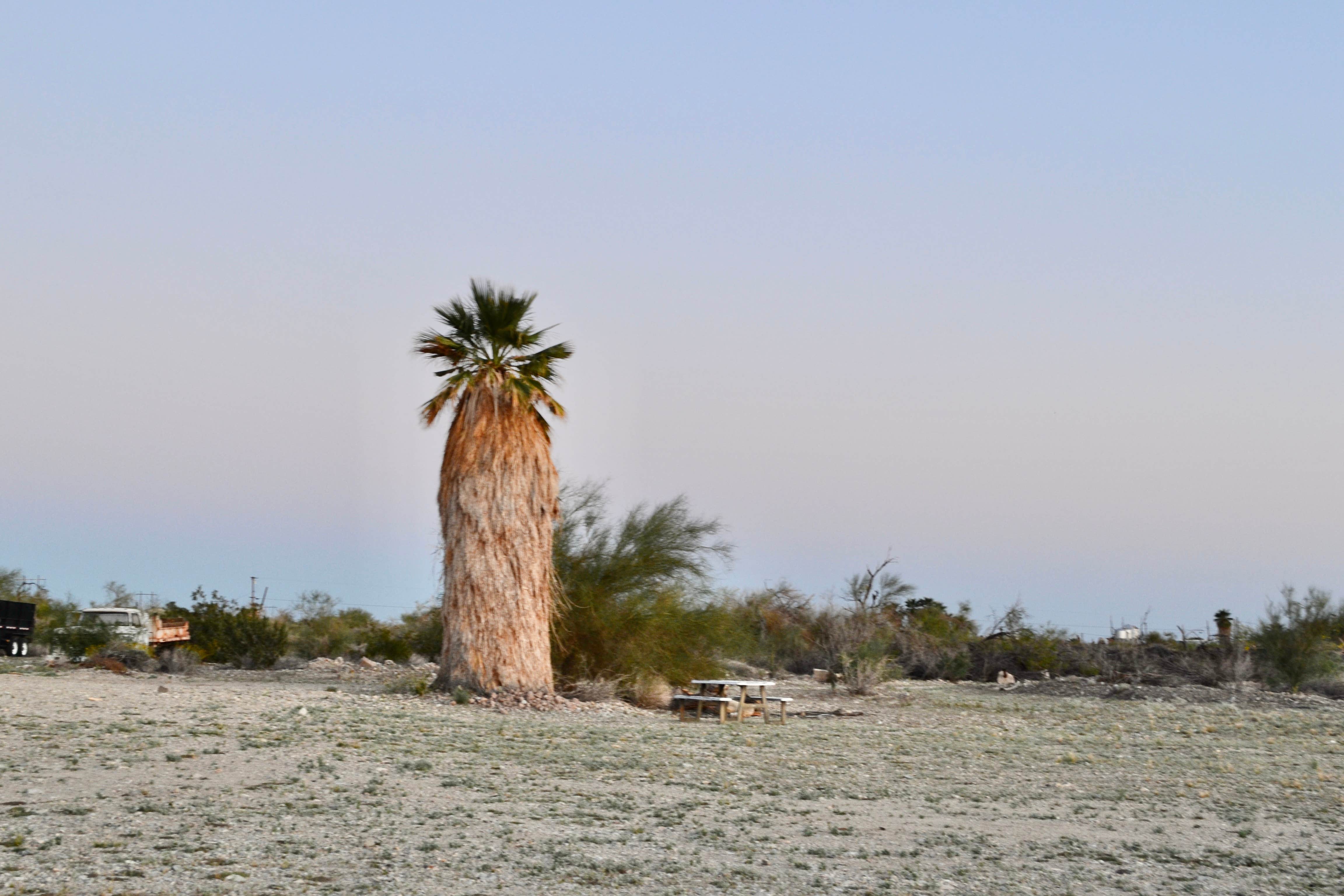 Camper-submitted photo at Bashford's Hot Mineral Spa near Niland, CA