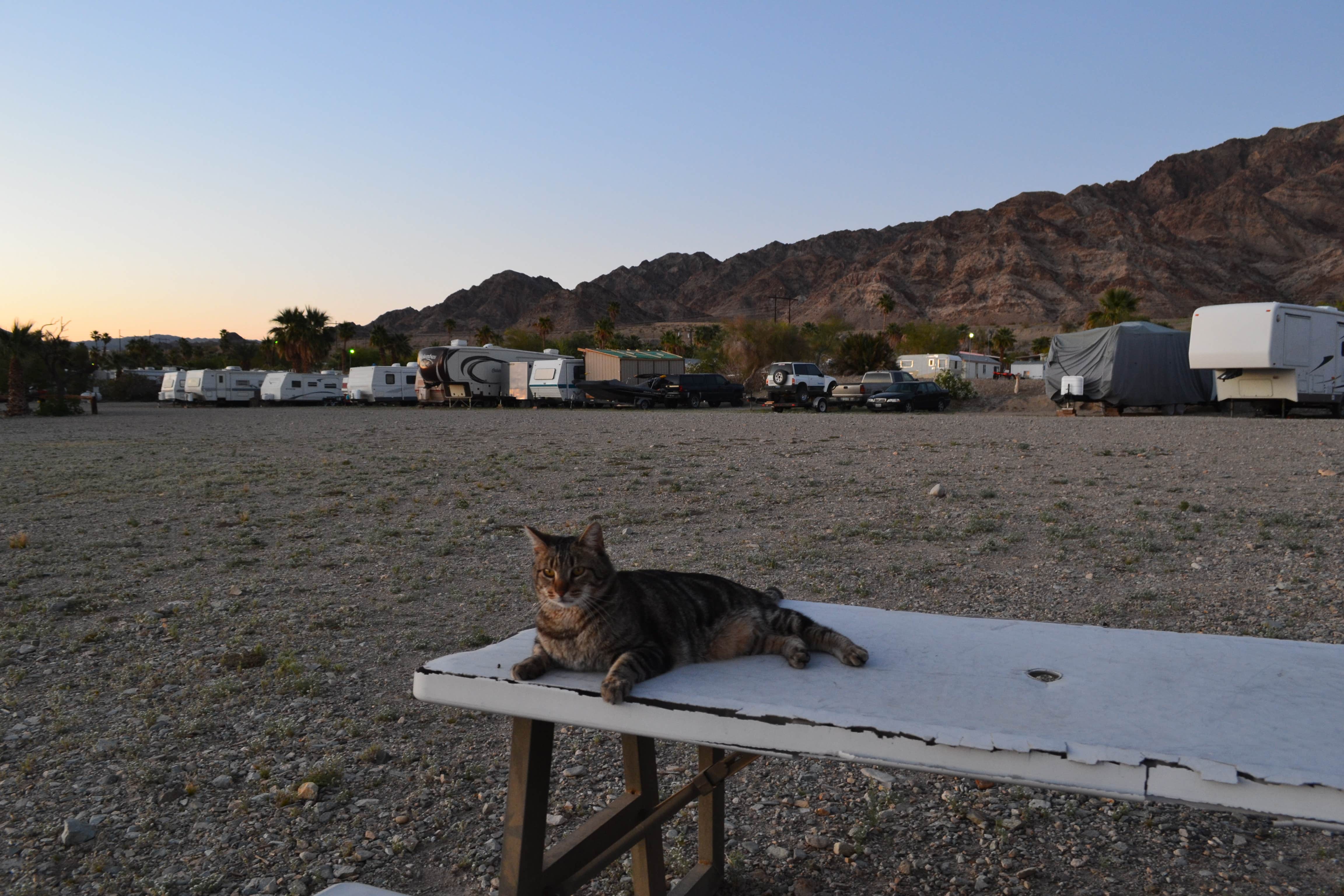 Camper-submitted photo at Bashford's Hot Mineral Spa near Niland, CA