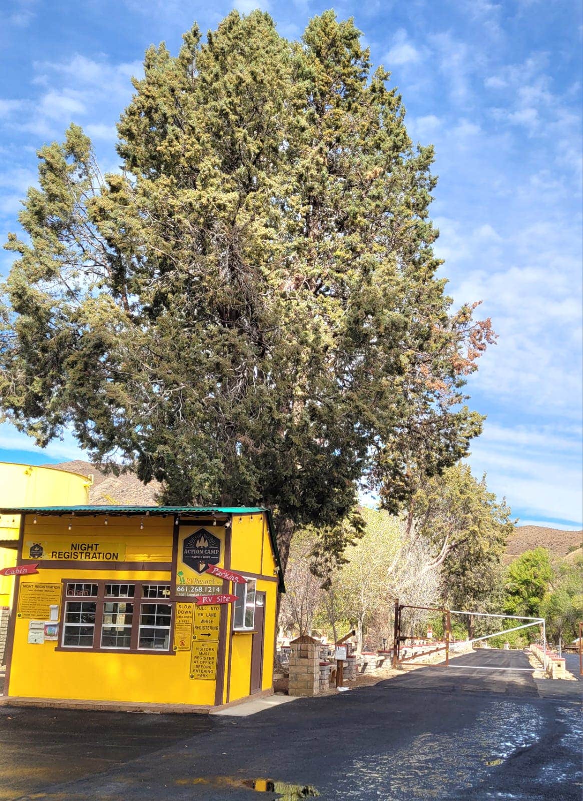Camper-submitted photo at LA RV Resort at Action Camp near Mojave, CA