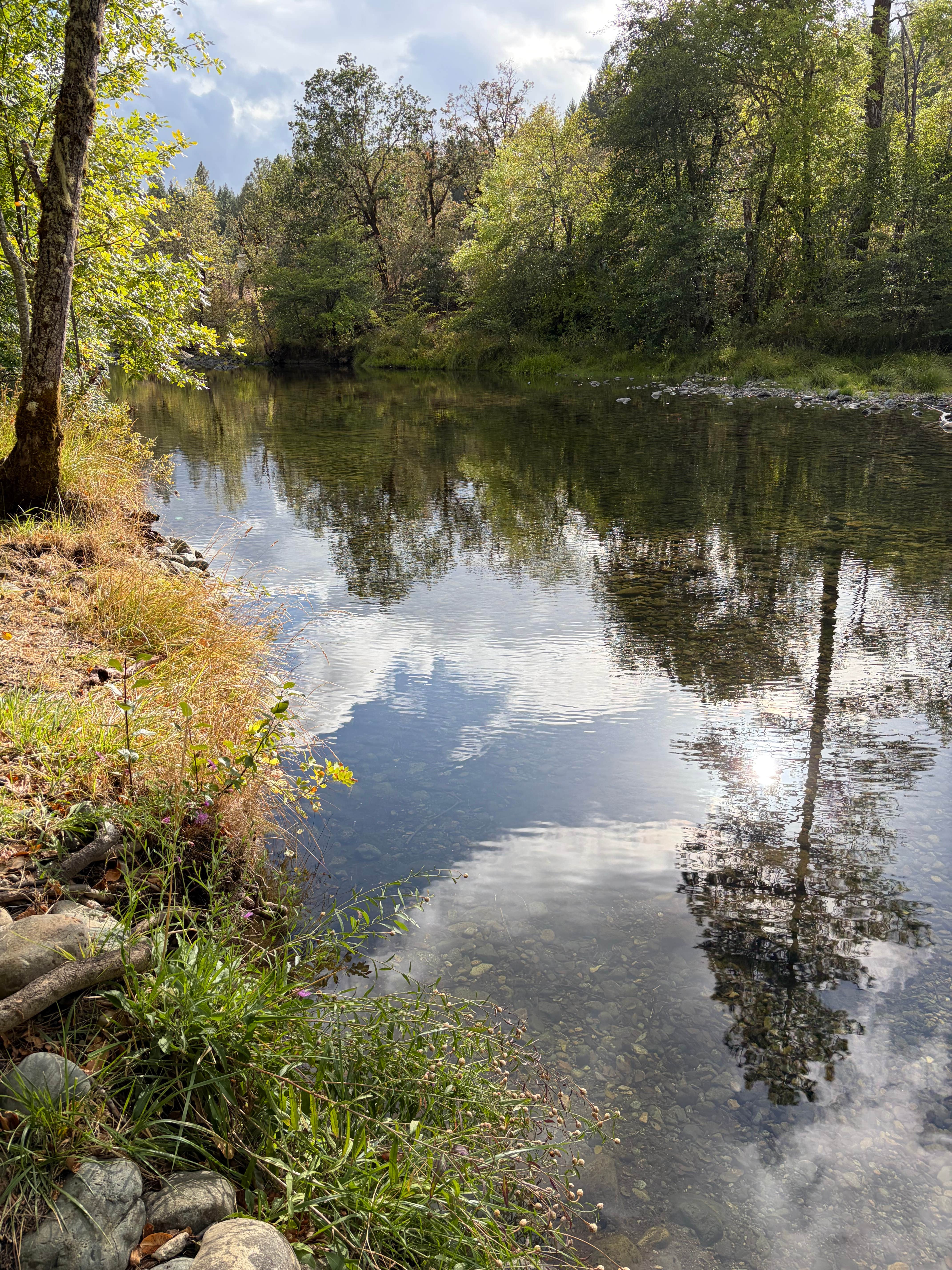 Bear's Illinois River Campsite